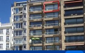 Panoramisch Appartement Tussen Zee ,Bos En De Duinen